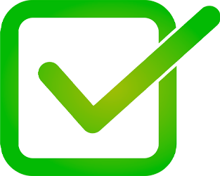 PROFESSIONAL SERVICE